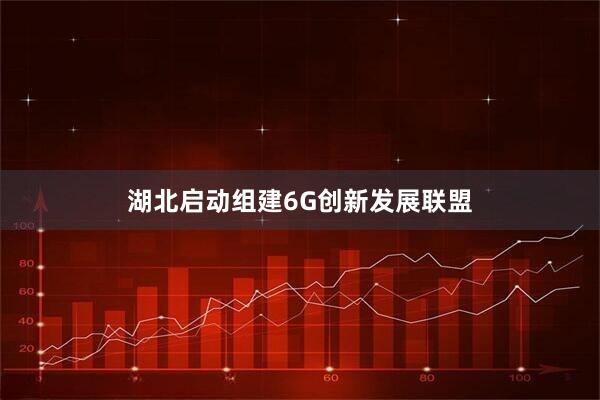 湖北启动组建6G创新发展联盟