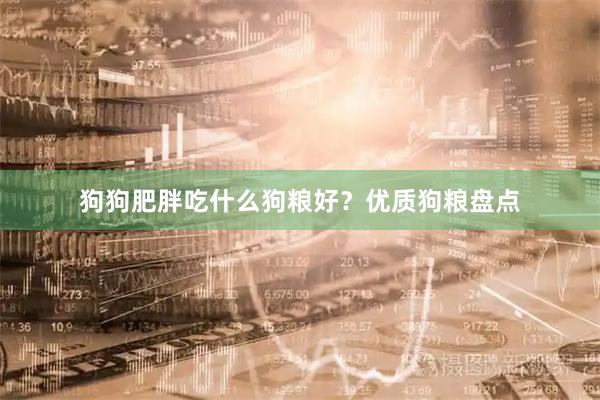 狗狗肥胖吃什么狗粮好？优质狗粮盘点