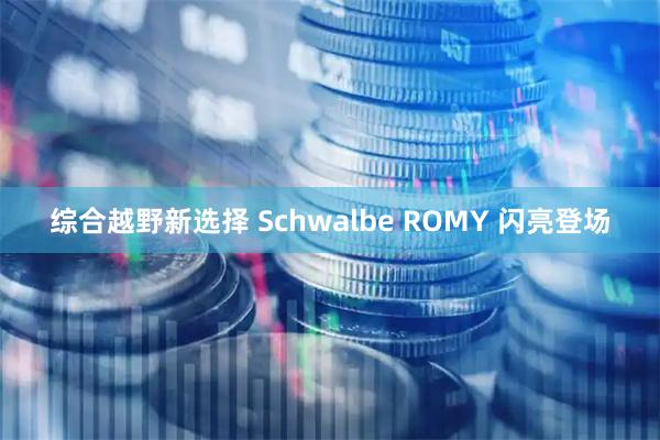 综合越野新选择 Schwalbe ROMY 闪亮登场